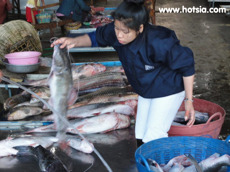 เที่ยวปากเซ จำปาสัก ตลาดดาวเรืองปากเซ