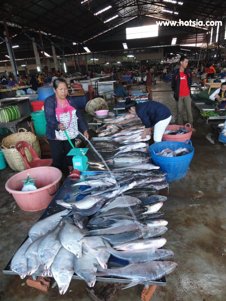 เที่ยวปากเซ จำปาสัก ตลาดดาวเรืองปากเซ