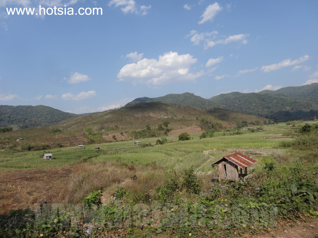 พงสาลี บ้านบุญใต้