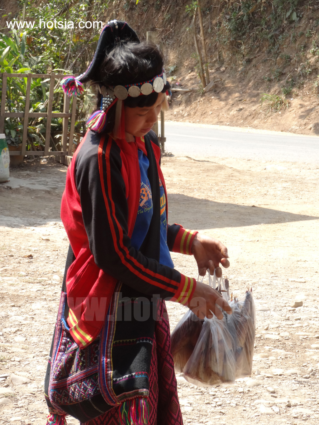 พงสาลี การเดินทางไปพงสาลี