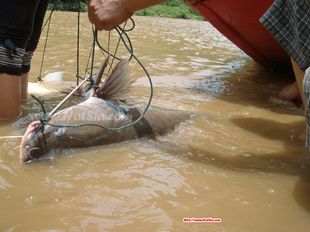 ประเทศลาว แขวงพงสาลี ล่องเรือจากหาดสาไปเมืองขัว(hat sa to muang khua)