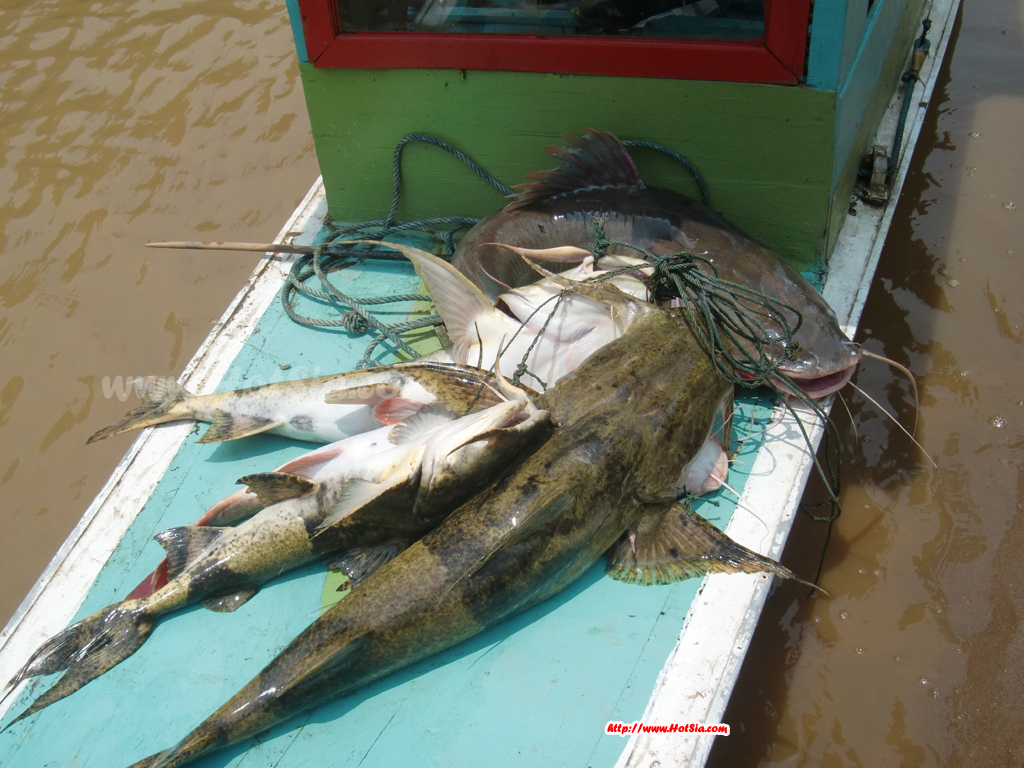 ประเทศลาว แขวงพงสาลี ล่องเรือจากหาดสาไปเมืองขัว(hat sa to muang khua)