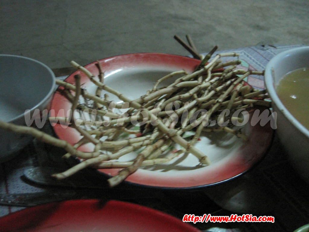 ประเทศลาว แขวงพงสาลี กินข้าวบ้านชาวพงสาลี