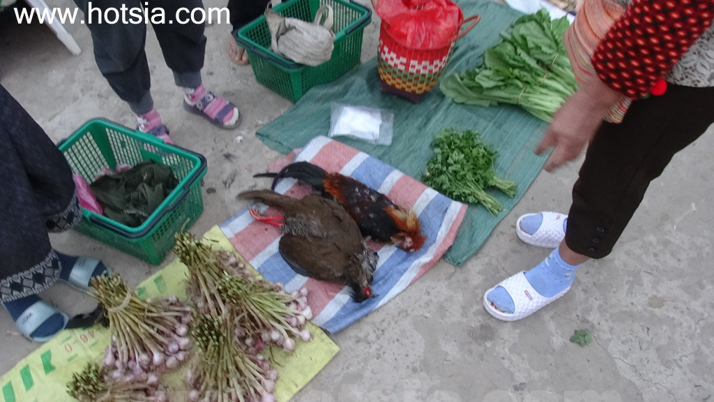 พงสาลี ตลาดเช้าพงสาลี 2557