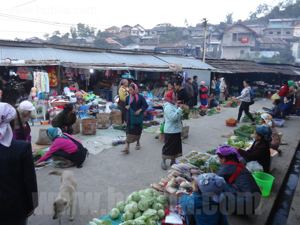 พงสาลี ตลาดเช้าพงสาลี 2557