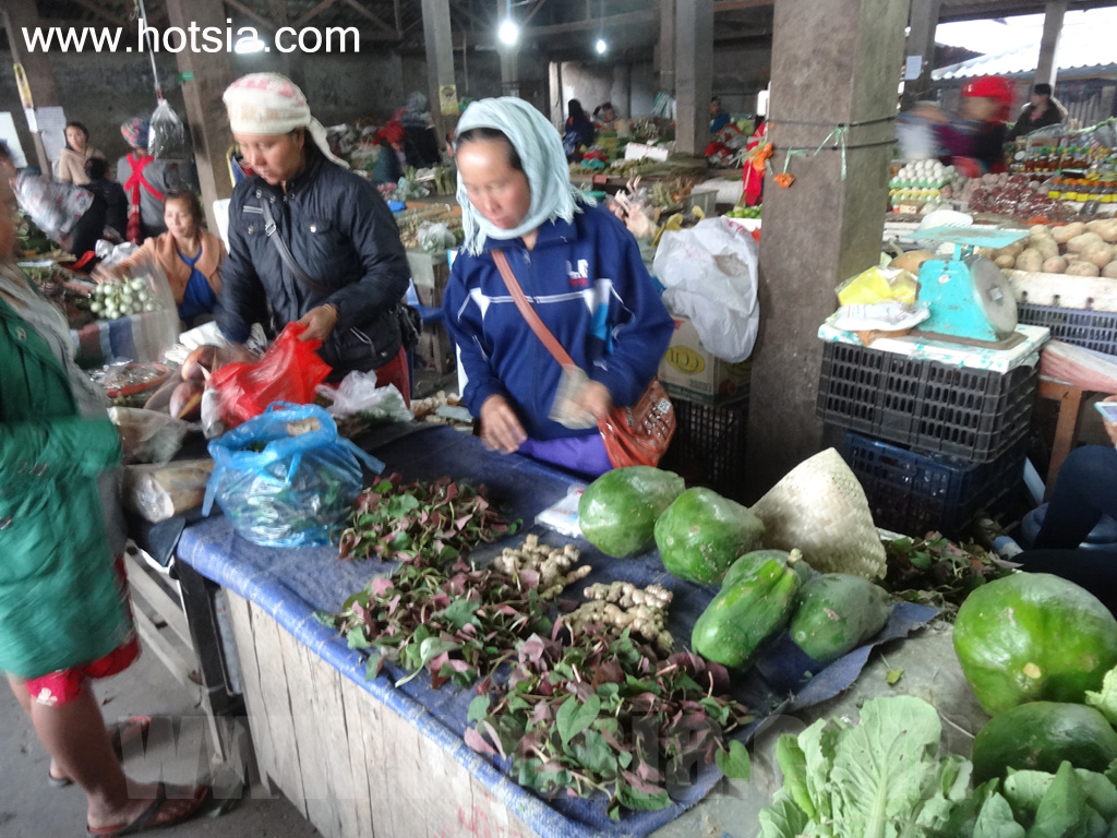 พงสาลี ตลาดเช้าพงสาลี 2557