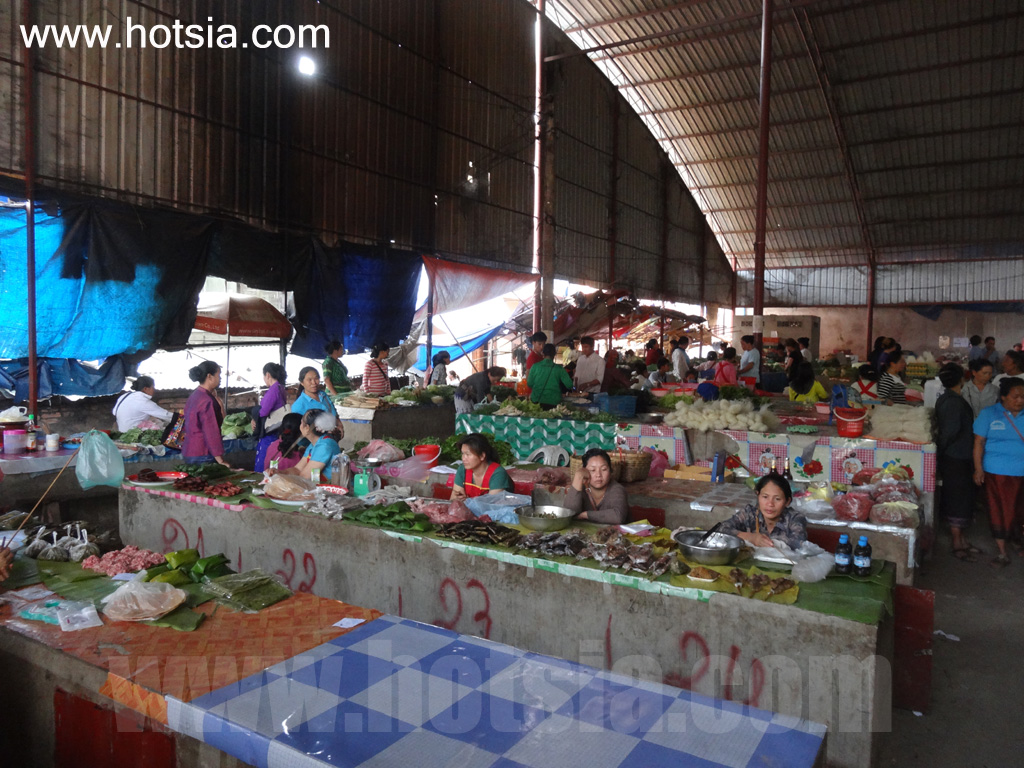 พงสาลี เมืองขวา 2557