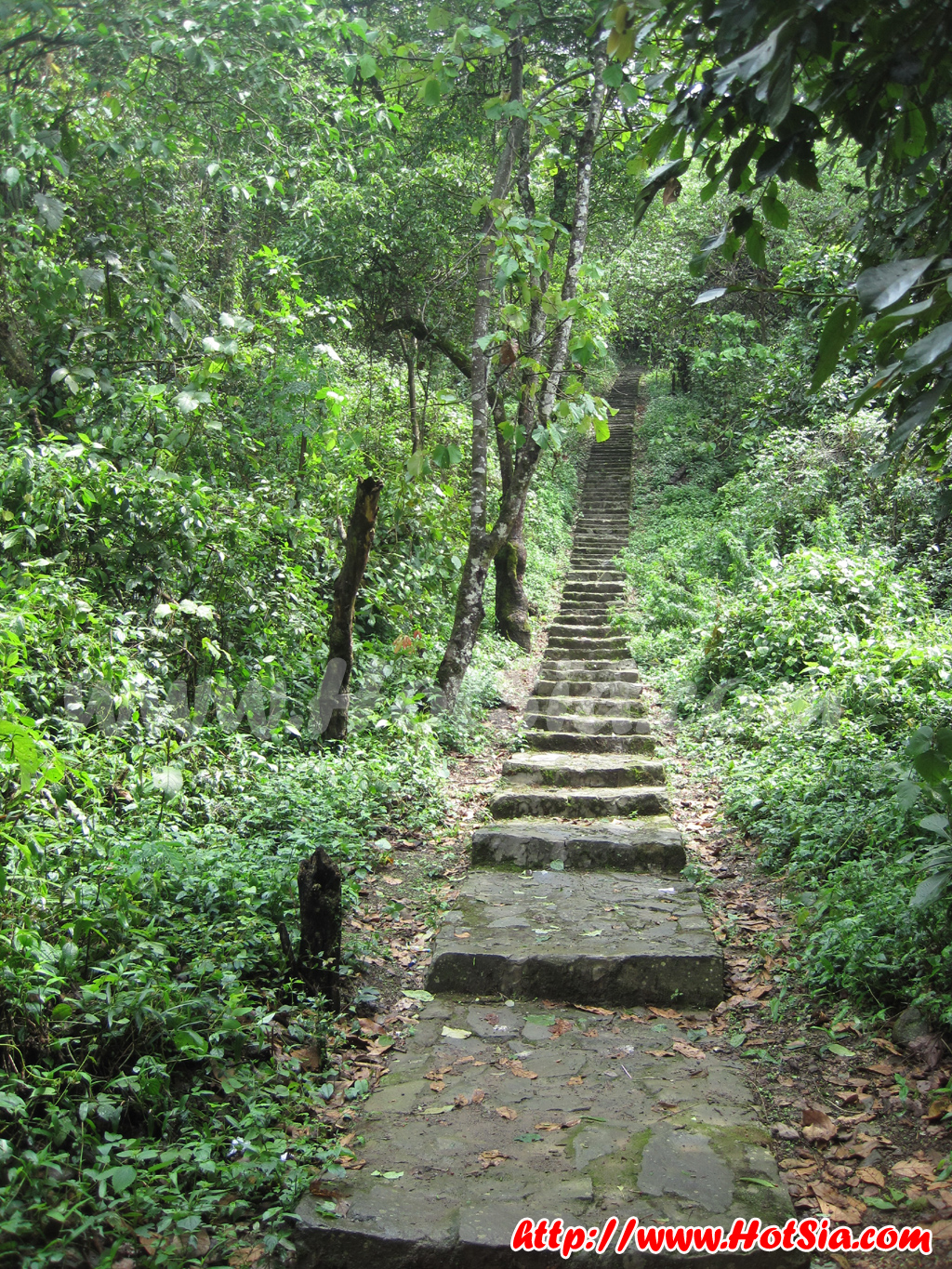 ประเทศลาว แขวงพงสาลี พระธาตุภูฟ้า(phou Fha)