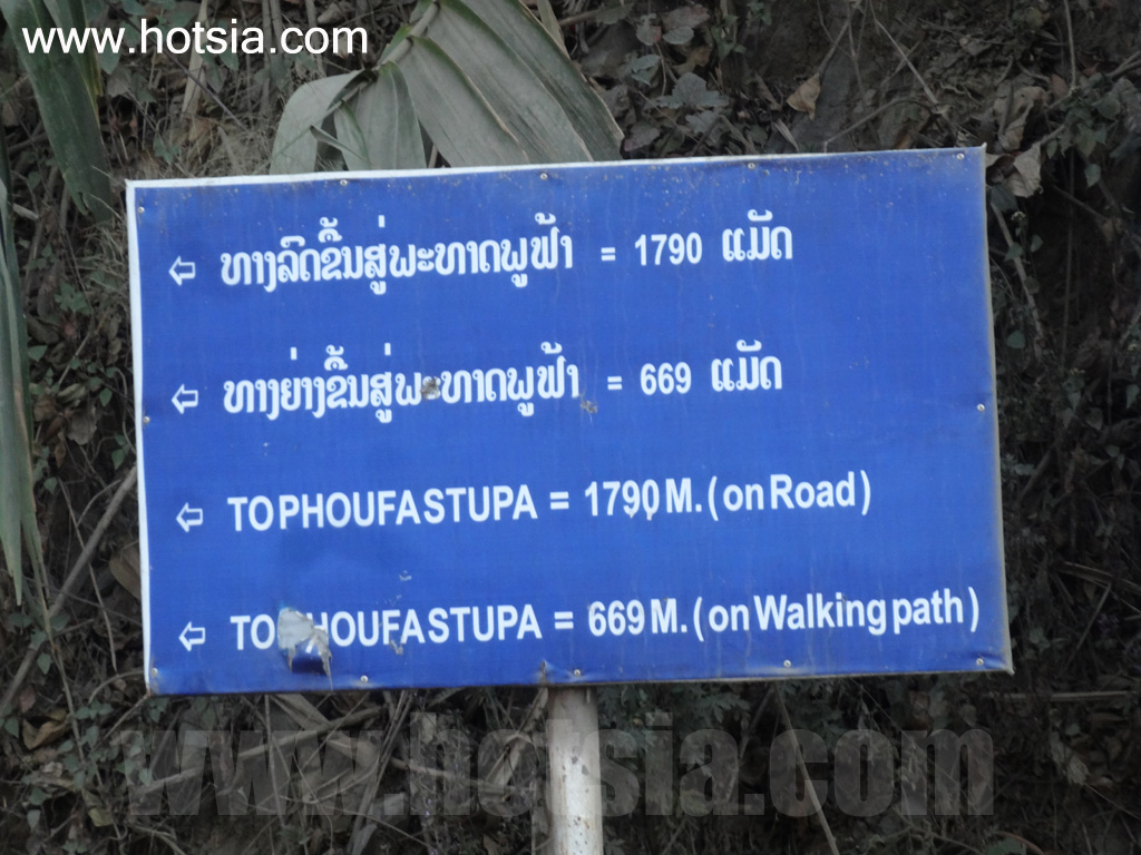 พงสาลี ยอดภูฟ้า พงสาลี