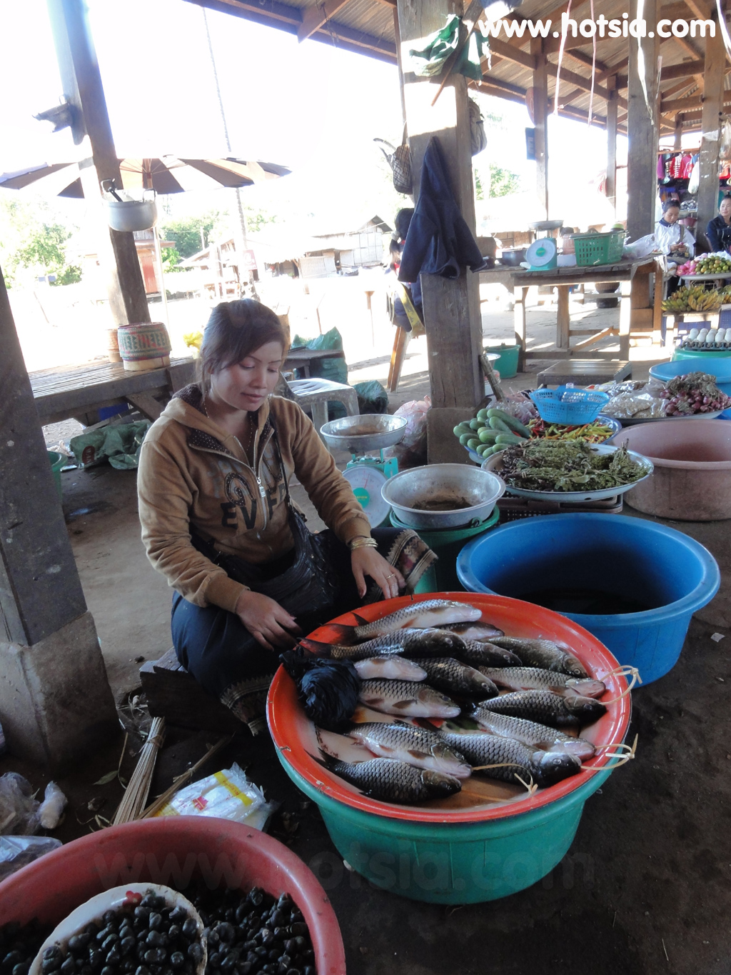 เที่ยวสาละวัน การเดินทางไปน้ำตกตาดเลาะ