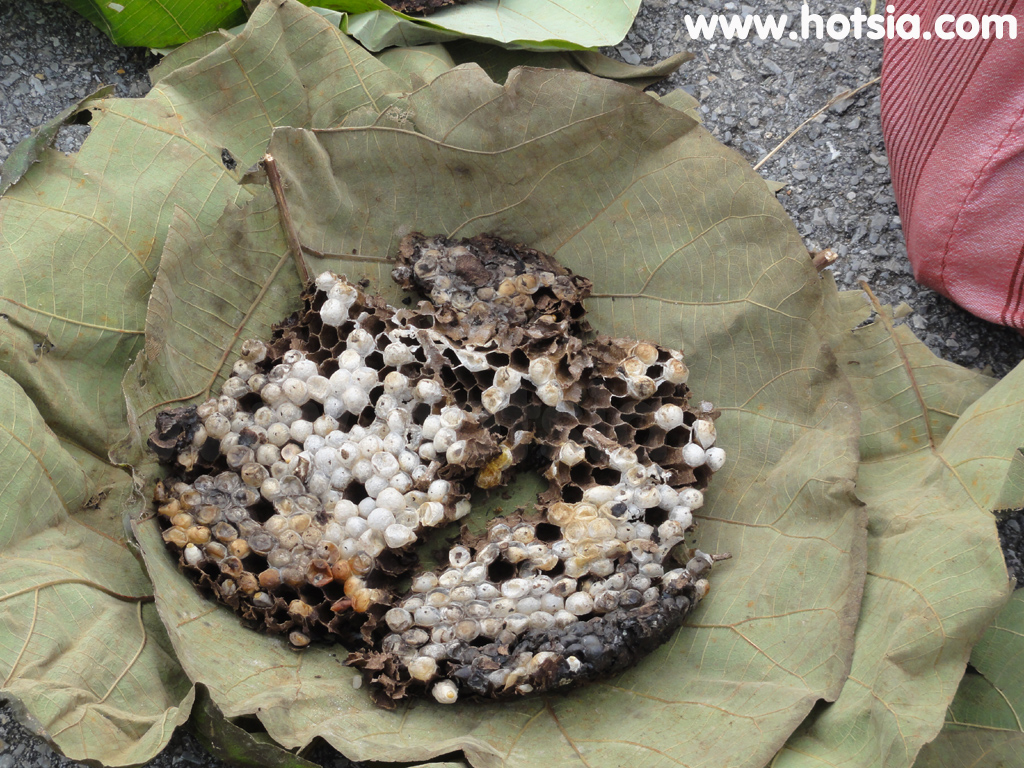 แขวงไชยบุรี ตลาดชายแดนห้วยโก๋น จังหวัดน่าน