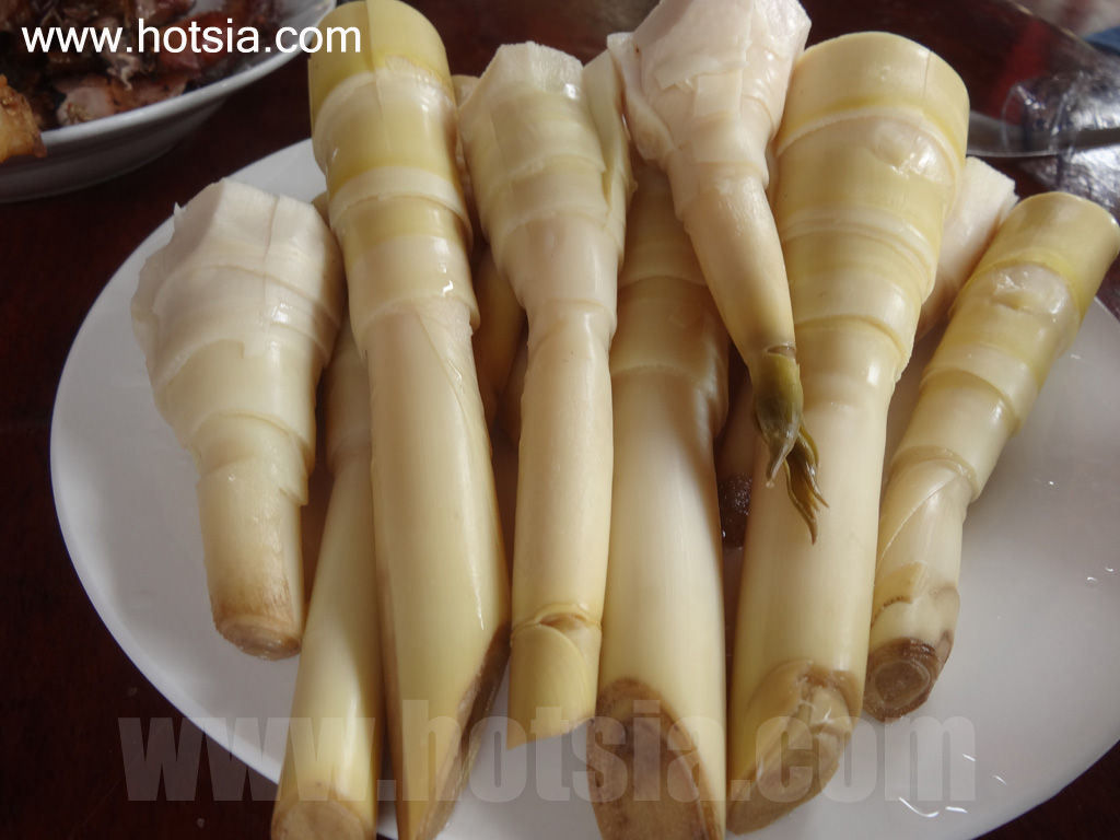 ไชยบุรี โฮมสเตย์บ้านปากงึม ริมแม่น้ำโขง ประเทศลาว