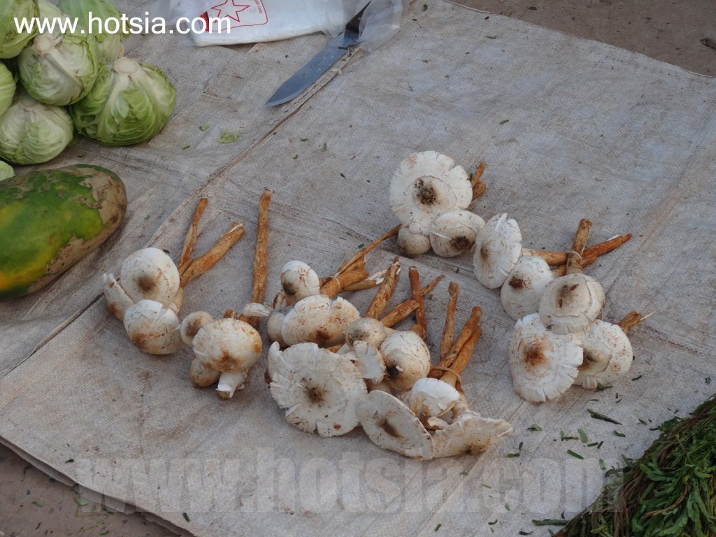 ไชยยะบุรี ตลาดเช้าไชยยะบุรี 2013