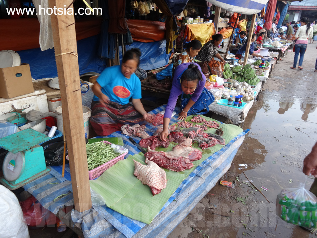 ไชยยะบุรี ตลาดเช้าไชยยะบุรี 2013