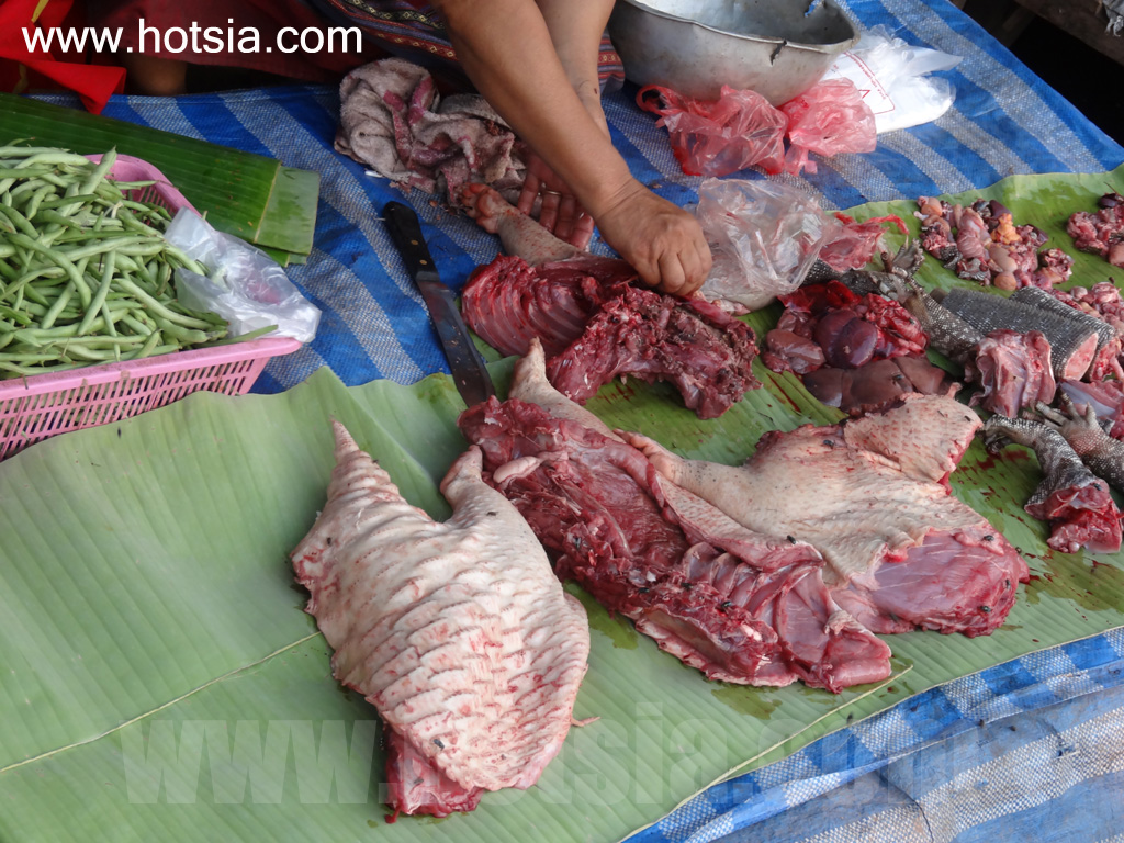 ไชยยะบุรี ตลาดเช้าไชยยะบุรี 2013