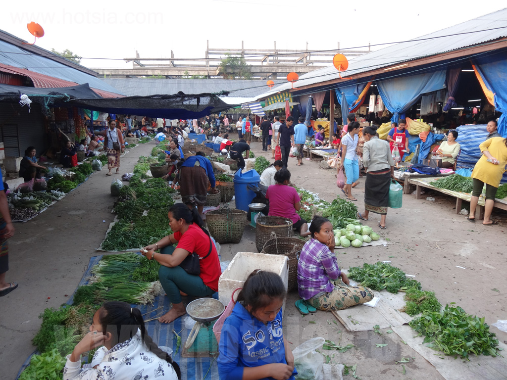 ไชยยะบุรี ตลาดเช้าไชยยะบุรี 2013