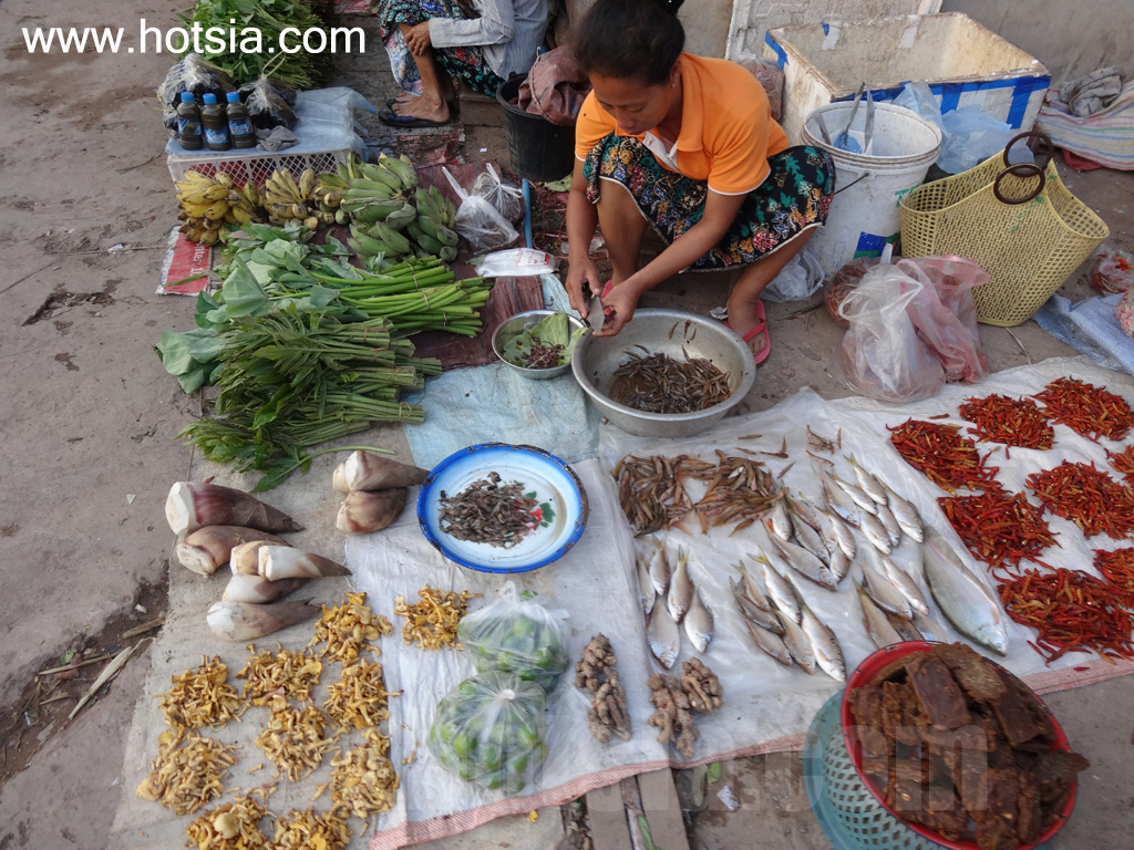 ไชยยะบุรี ตลาดเช้าไชยยะบุรี 2013