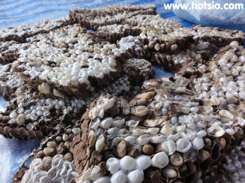 แขวงไชยบุรี ตลาดเย็น ตลาดเช้า ไชยบุรี