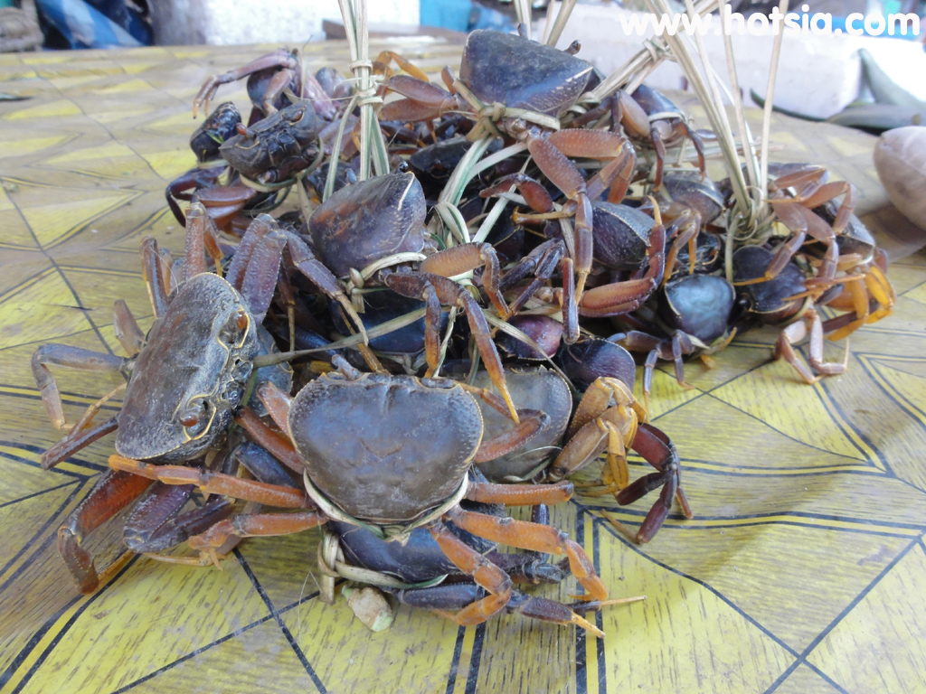 แขวงไชยบุรี ตลาดเย็น ตลาดเช้า ไชยบุรี