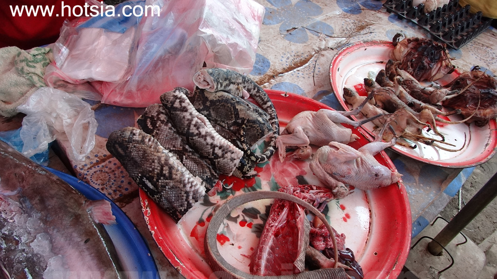 ไชยยะบุรี อาหารการกินชาวปากลาย