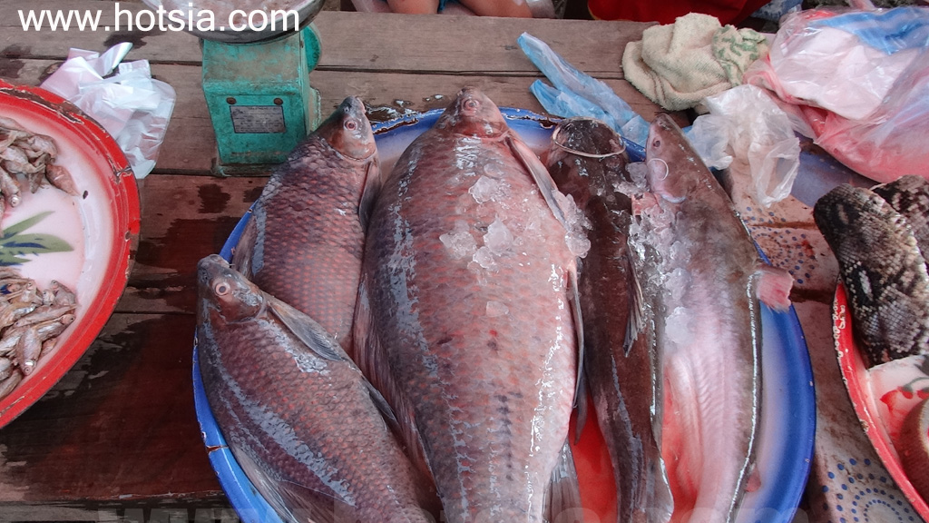 ไชยยะบุรี ตลาดปากลาย