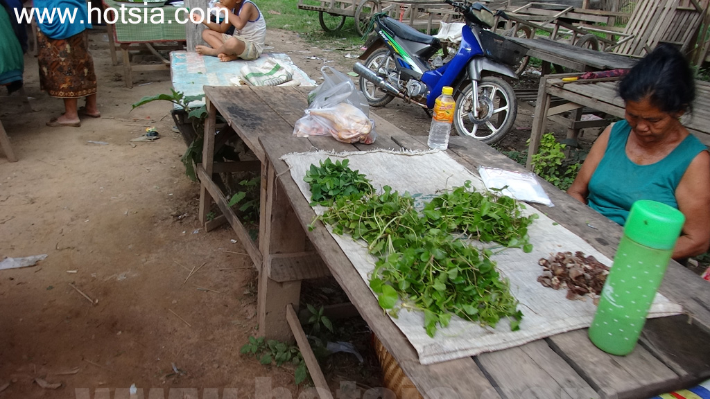 ไชยยะบุรี ตลาดปากลาย
