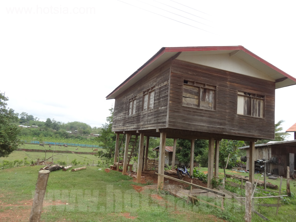 ไชยยะบุรี เดินทางจากปากลายไปไชยยะบุรี
