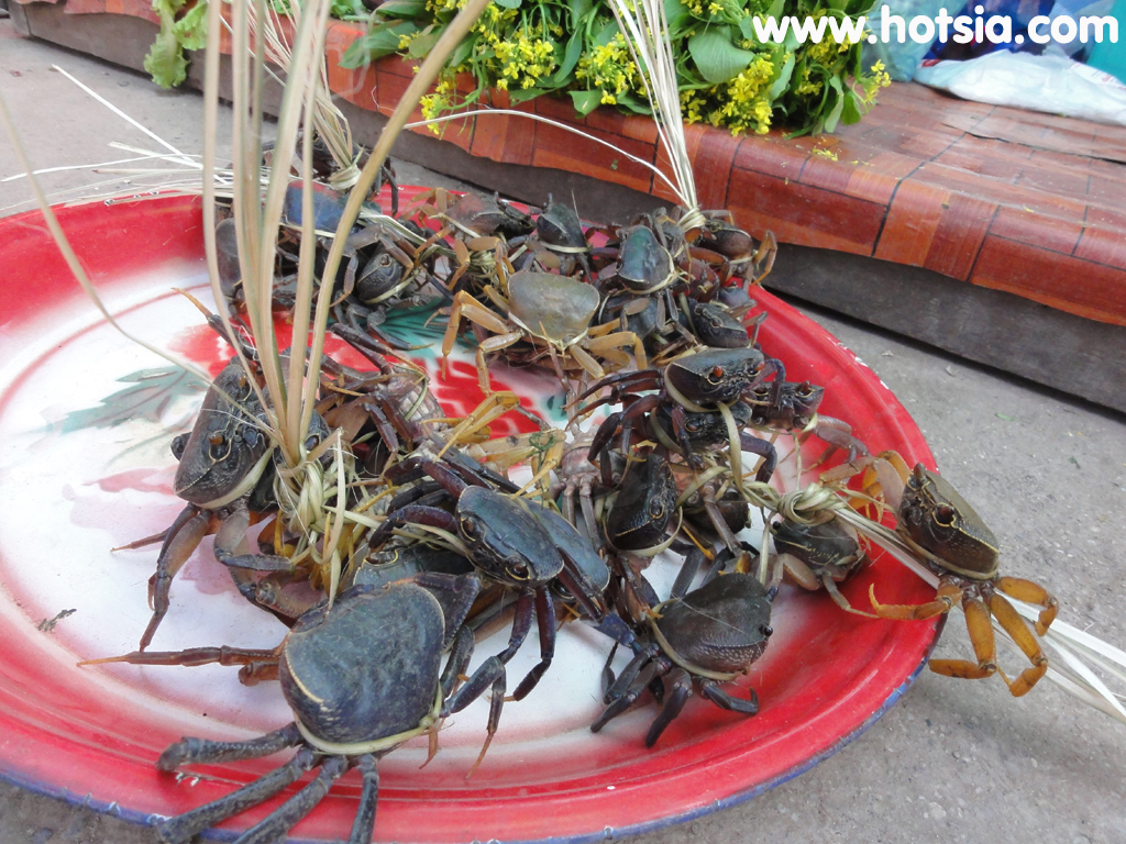 แขวงไชยะบุรี เที่ยวแขวงไชยะบุรี