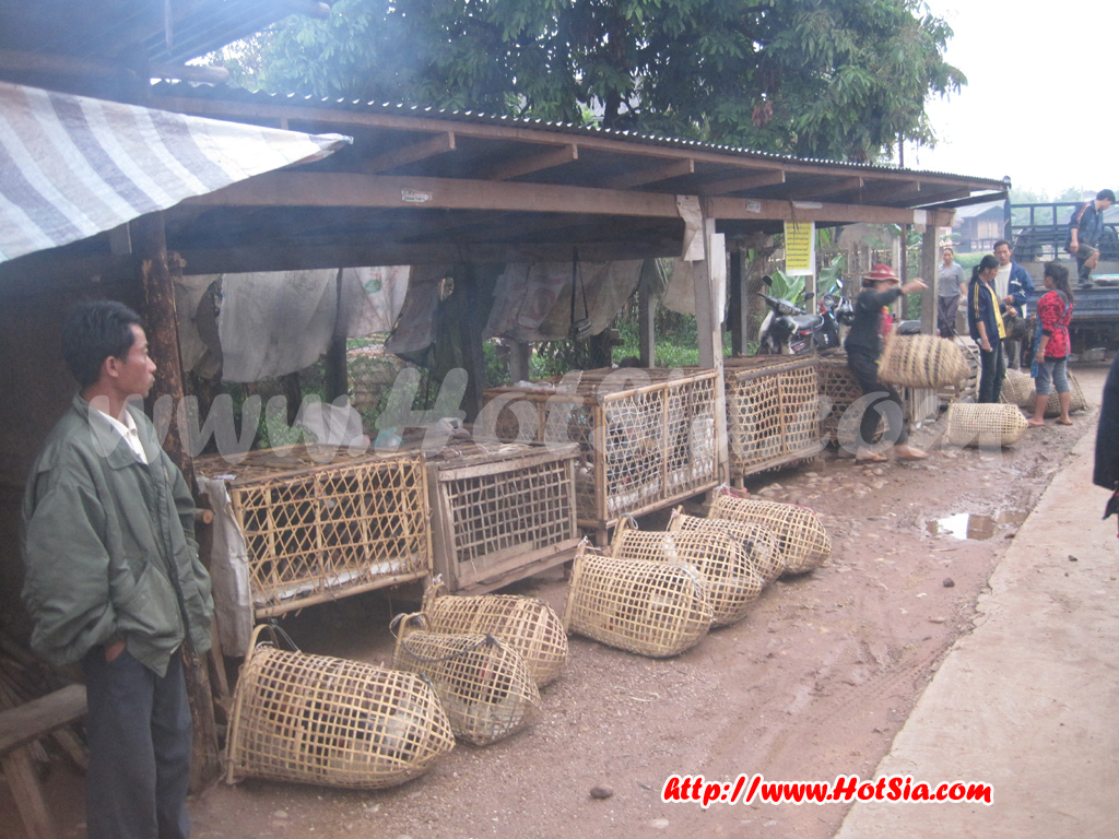 ประเทศลาว แขวงอุดมไชย ตลาดเมืองเมืองไชย อุดมไชย(Udomxai muang xai market)