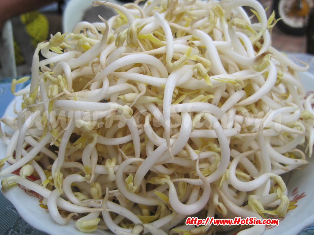 เที่ยวลาว เวียงจันทน์ ข้าวเปียกอาหารเช้าของชาวเวียงจันทน์
