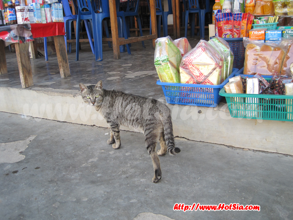เชียงขวาง สถานีขนส่งเชียงขวาง(โพนสวรรค์)