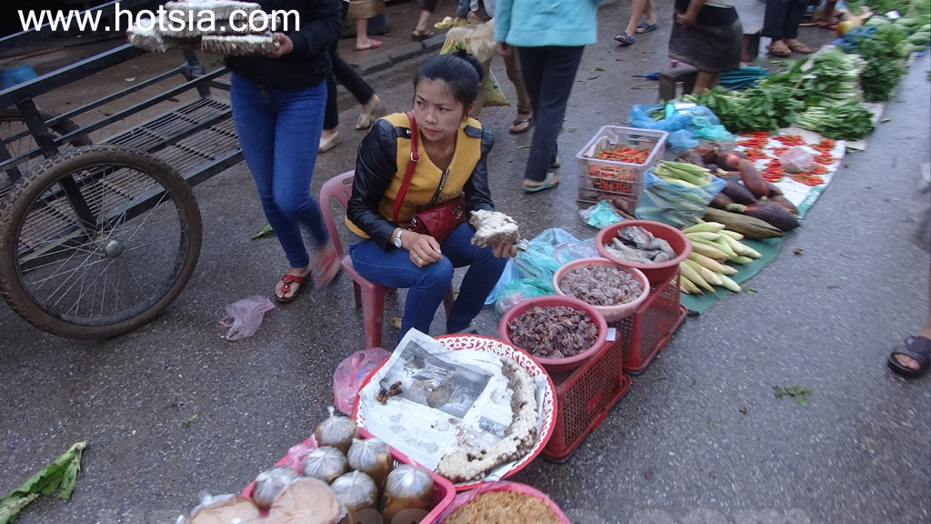 เชียงขวาง ตลาดเช้าเชียงขวาง 2014