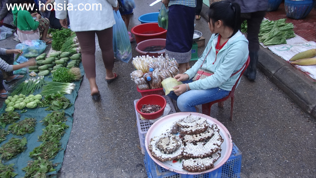 เชียงขวาง ตลาดเช้าเชียงขวาง 2014