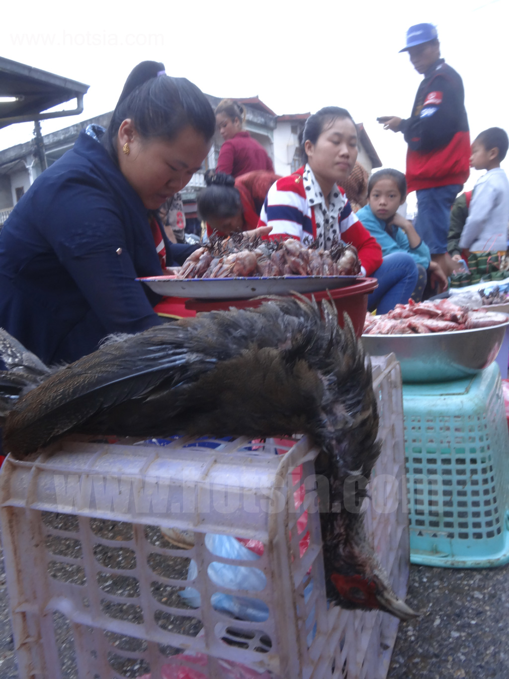 เชียงขวาง ตลาดเช้าเชียงขวาง 2014