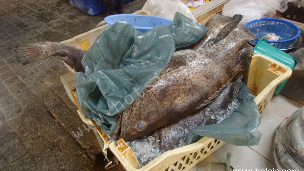 เกาะปีนัง ตลาดเช้าปีนัง