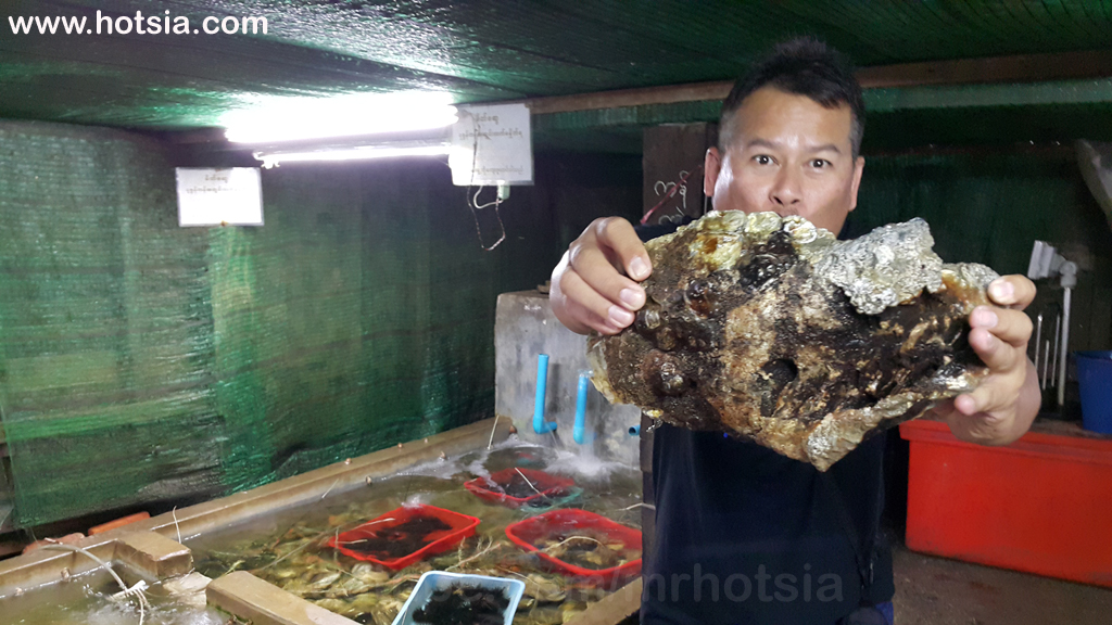 เขตอิรวดี กินหอยแก่หาดฮเวซวง พม่า