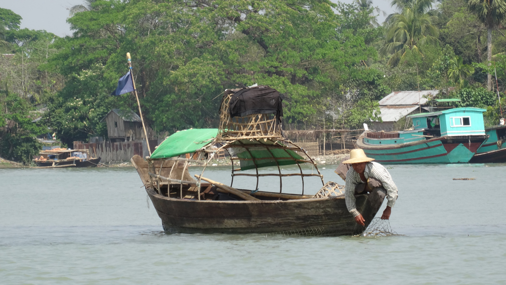 เขตอิรวดี ล่องเรือหาปลาในเมืองพะสิม