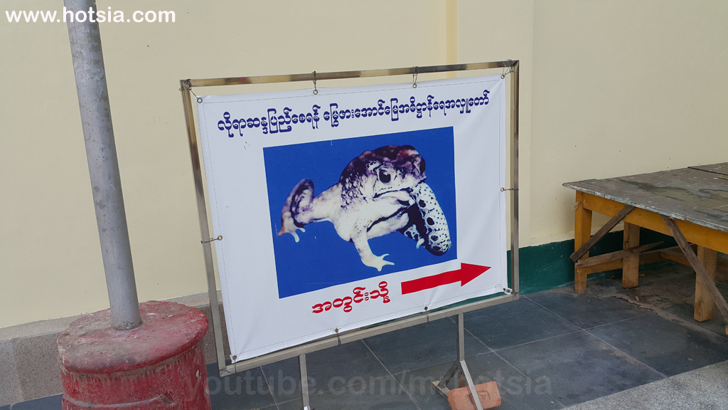 เขตอิรวดี เจดีย์ชเวมอดอหรือพระธาตุมุเตา พะสิม