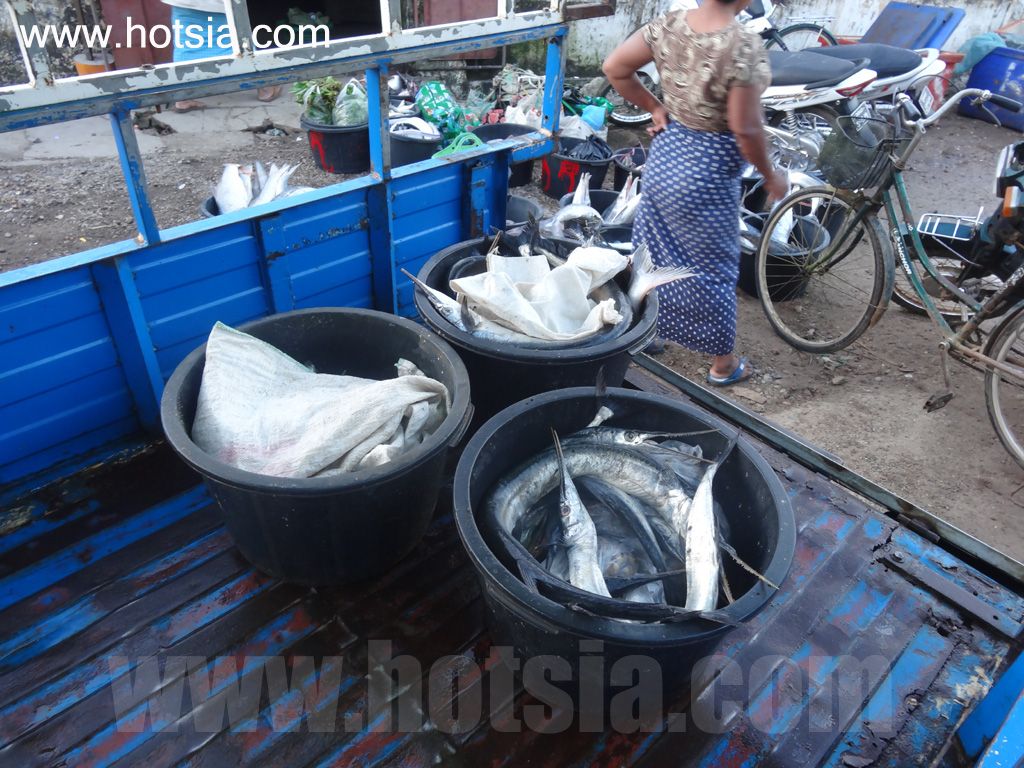 เที่ยวเมืองทวาย เขตตะนาวศรี ด้วยตัวเอง ตลาดเช้าทวาย