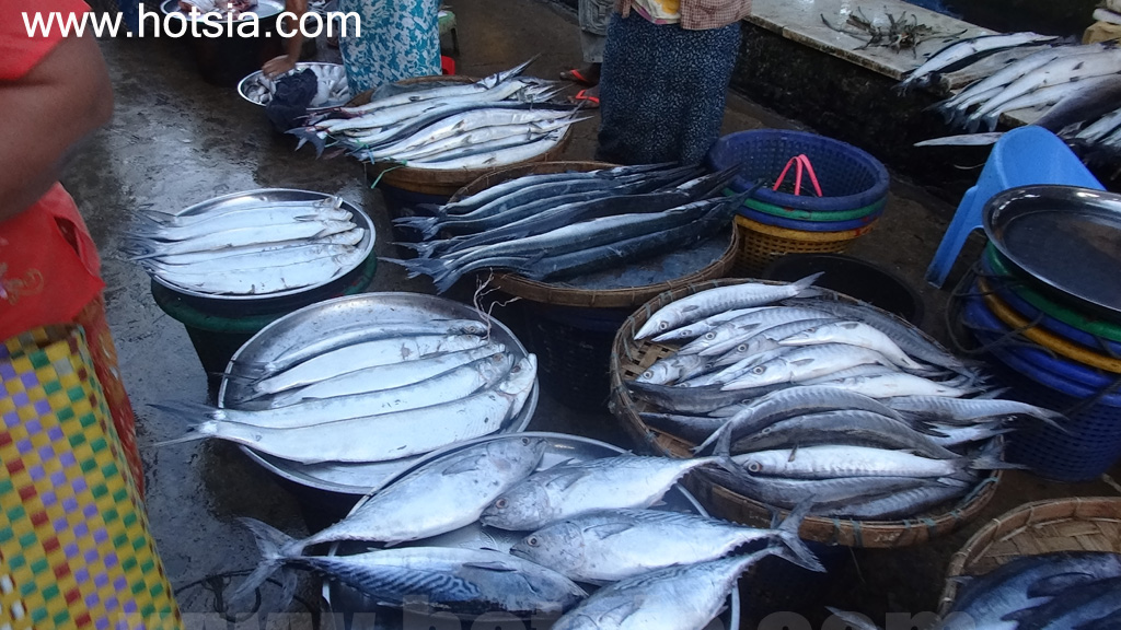 เที่ยวเมืองทวาย เขตตะนาวศรี ด้วยตัวเอง ตลาดเช้าทวาย