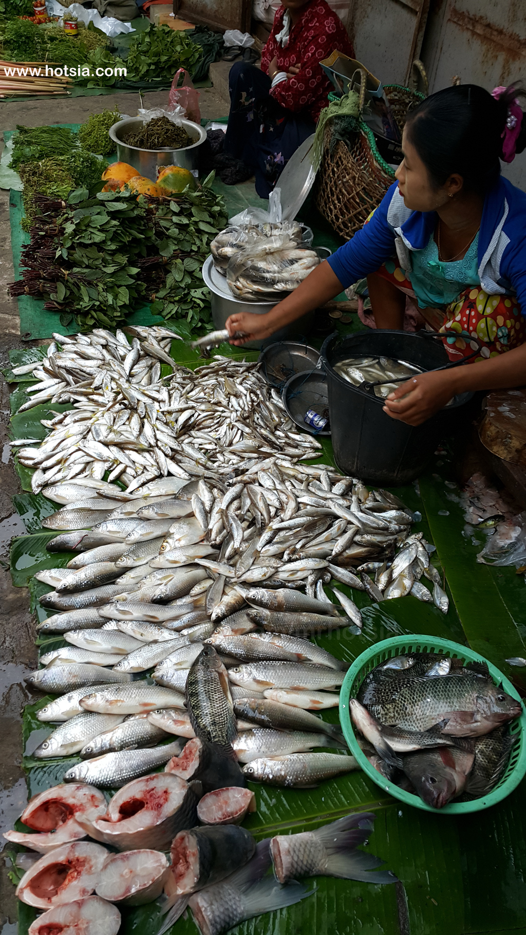 เที่ยวพม่า รัฐกะฉิ่น ตลาดเช้ามิตจีนา รัฐกะฉิ่น พม่า