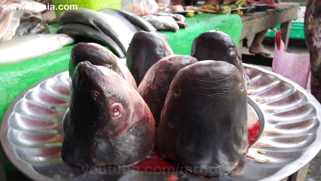 แบกเป้เที่ยวกะเล่-มโหย่ ตลาดเช้ากะเล่-มโหย่