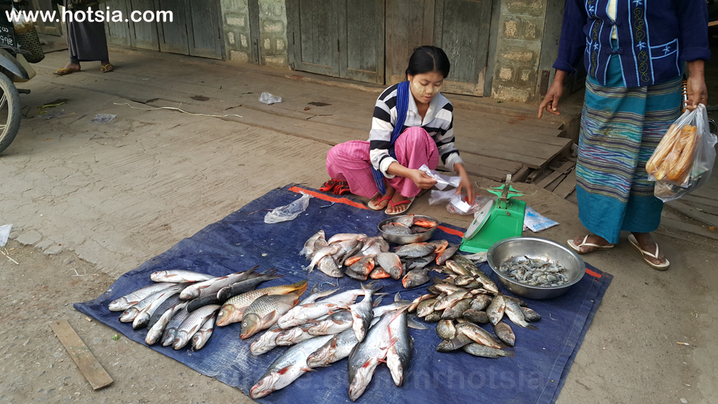 แบกเป้เที่ยวตลาดเช้าหลอยก่อ(Logkaw morning market) พม่า ตลาดเช้าหลอยก่อ(Logkaw morning market)