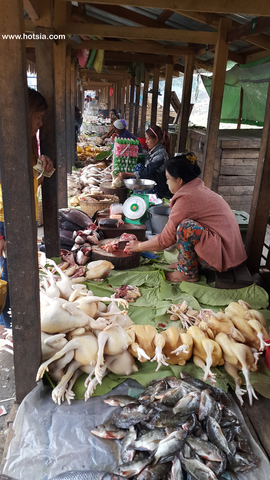 แบกเป้เที่ยวตลาดเช้าหลอยก่อ(Logkaw morning market) พม่า ตลาดเช้าหลอยก่อ(Logkaw morning market)