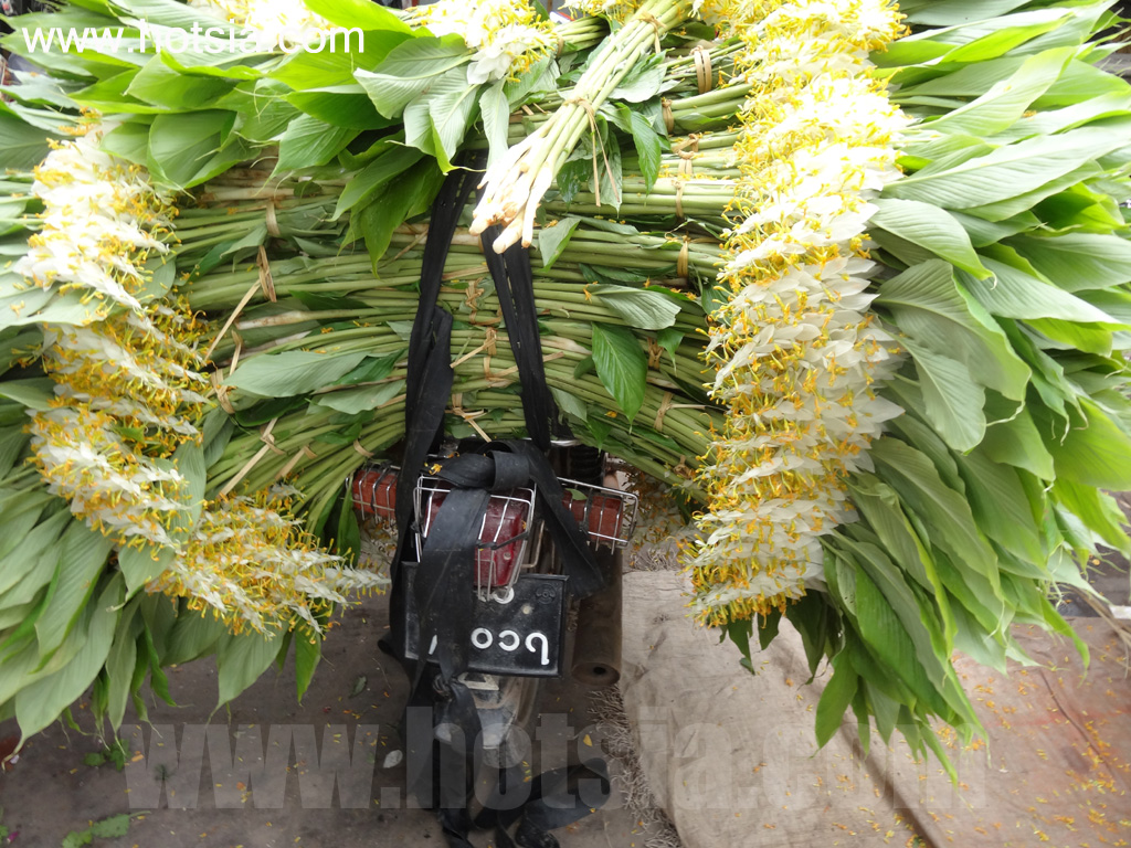 เที่ยวมัณฑะเลย์ด้วยตัวเอง ตลาดดอกไม้เมืองมัณฑะเลย์