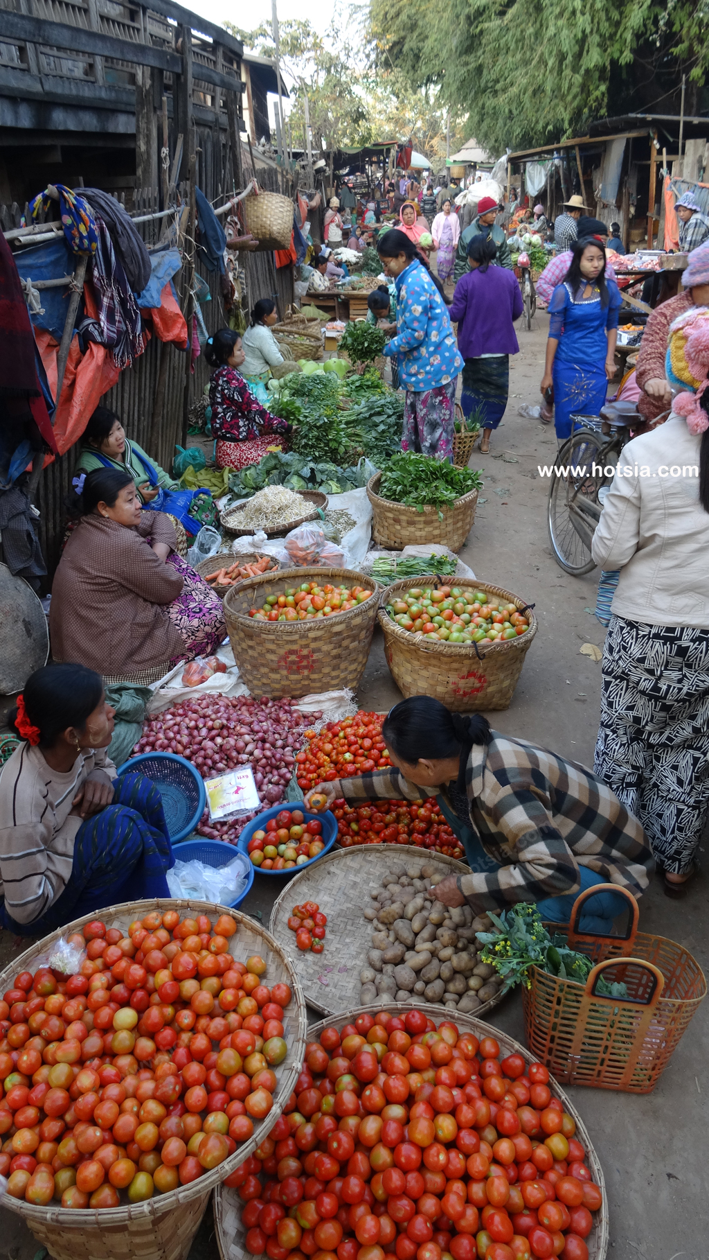 เที่ยวพม่า เมืองโมนยวา ตลาดเช้าเมืองโมนยวา