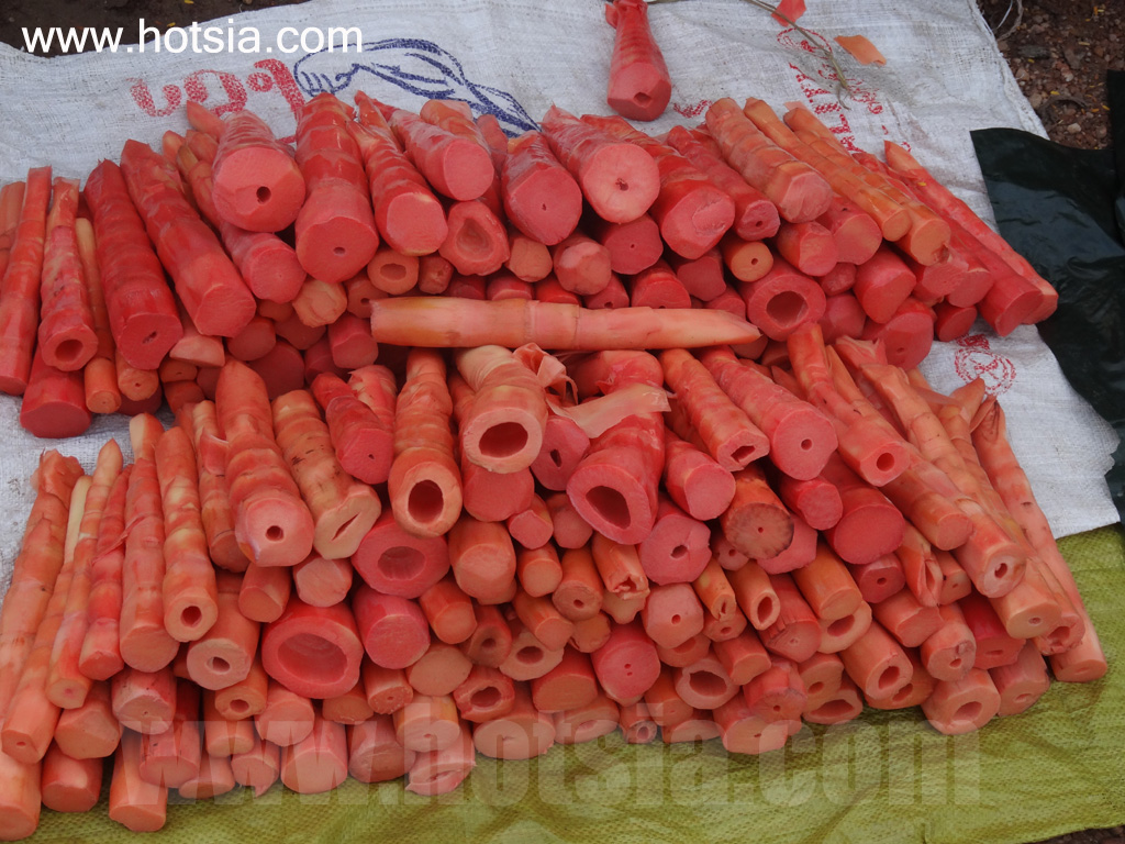 เที่ยวเนปิดอว์ด้วยตัวเอง ตลาดเช้าเมืองเนปิดอว์