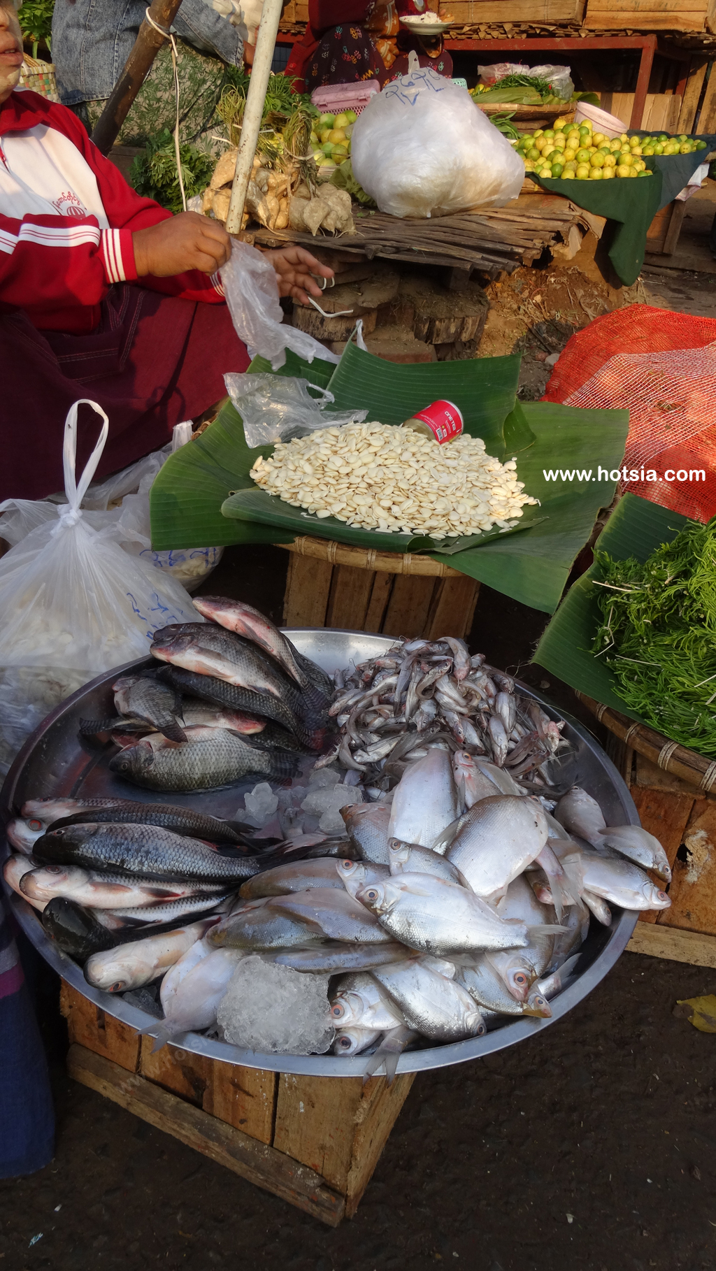 เที่ยวพม่า เมืองพินอูลวิน ตลาดเช้าพินอูลวิน