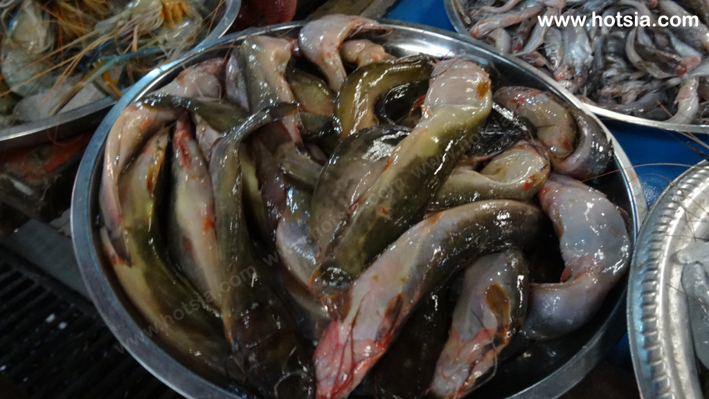 เที่ยวพม่า เมืองพินอูลวิน ตลาดเช้าพินอูลวิน