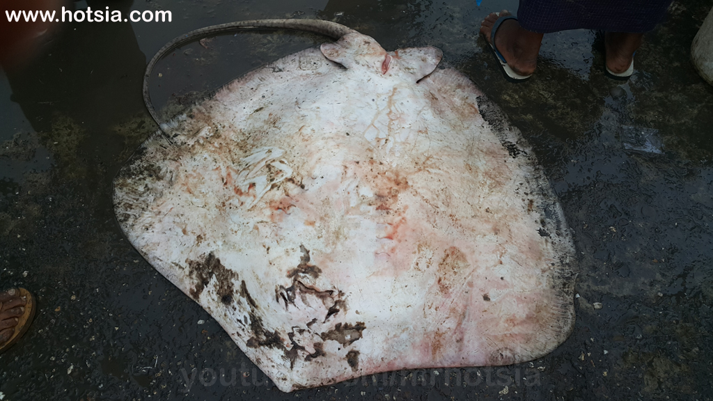 รัฐยะไข่ ตลาดเช้าซิตตเว พม่า